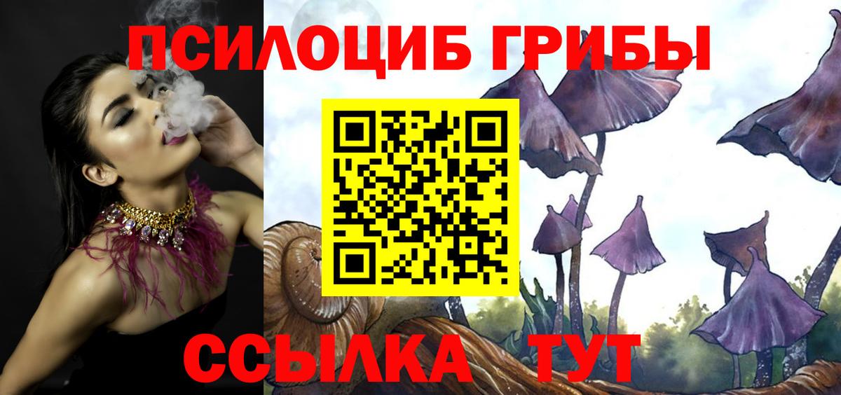Псилоцибиновые грибы MAGIC MUSHROOMS  Вход с VPN  Ноябрьск 